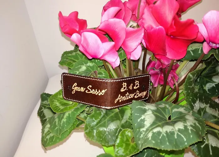 Alojamento de Acomodação e Pequeno-almoço Antico Borgo 3*